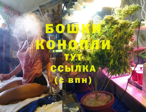 PSILOCYBIN Алзамай