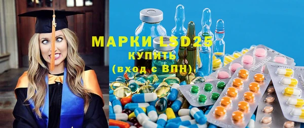 PSILOCYBIN Алзамай